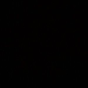 Meet your Posher, Carl